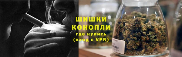 трава Снежинск