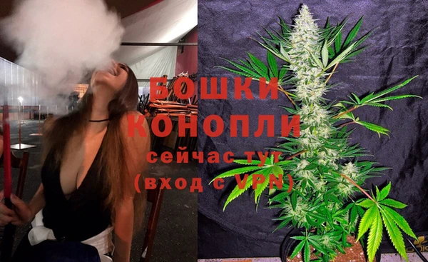 трава Снежинск