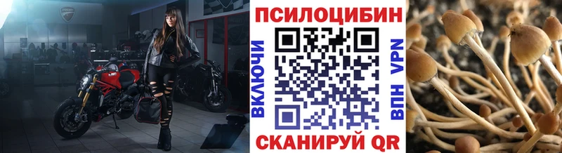 Галлюциногенные грибы Cubensis  Купить  Сосногорск 