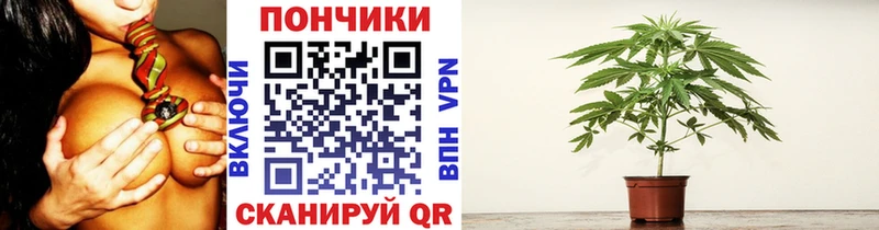 Конопля гибрид  Купить закладки  Сосногорск 
